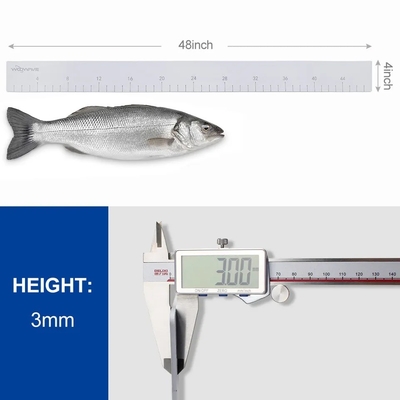 ボートアクセサリー エッセンシャルEVA 粘着型バック付き魚のレギュラー 正確な測定