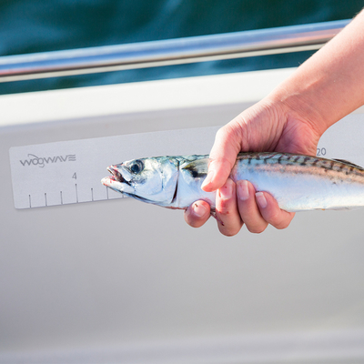 優れた海洋グレードのEVA釣りレギュラー ウーウェーブブラウンEVA泡 オーダーメイドサイズ魚レギュラー
